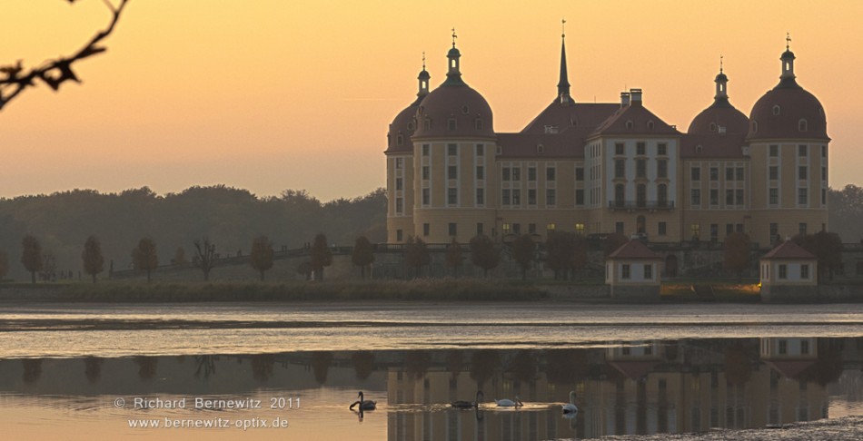 Schloss Moritzburg